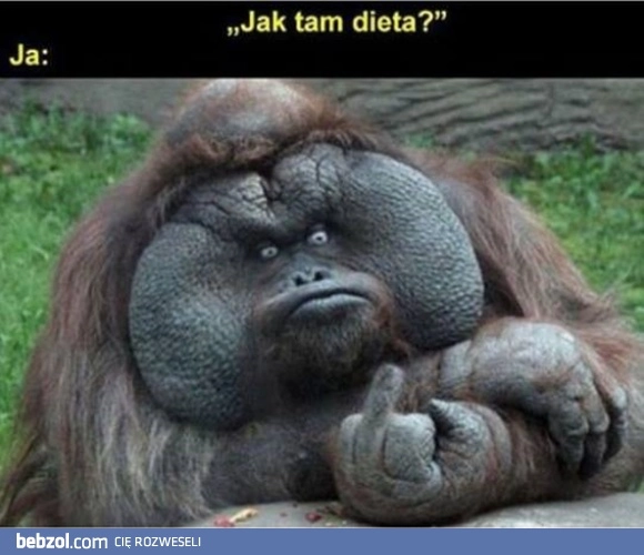 Jak tam dieta?