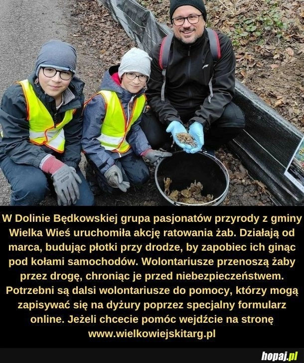 
    Przenoszenie żab.