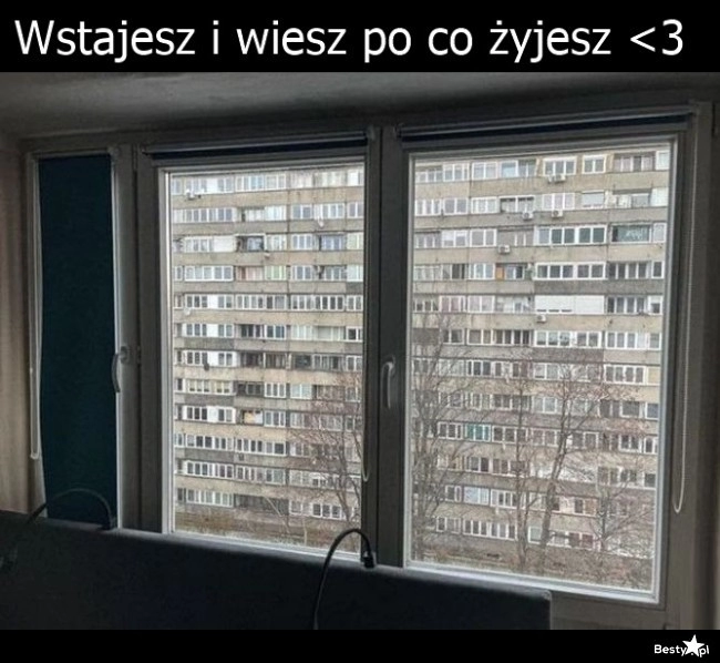 
    Szara rzeczywistość 