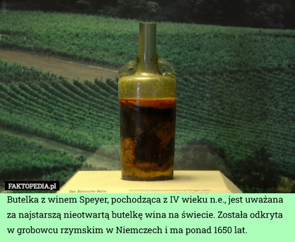 
    Butelka z winem Speyer, pochodząca z IV wieku n.e., jest uważana za najstarszą