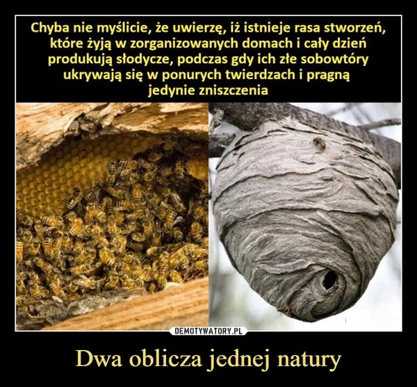 
    Dwa oblicza jednej natury