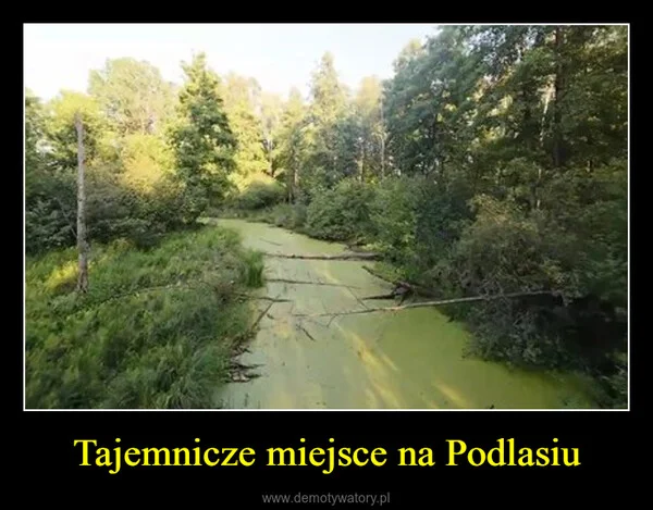 
    Tajemnicze miejsce na Podlasiu