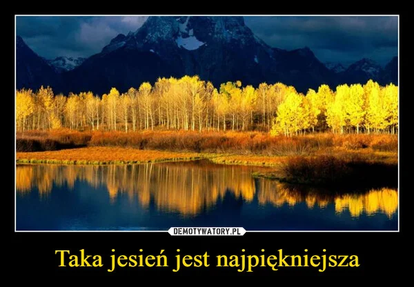 
    Taka jesień jest najpiękniejsza