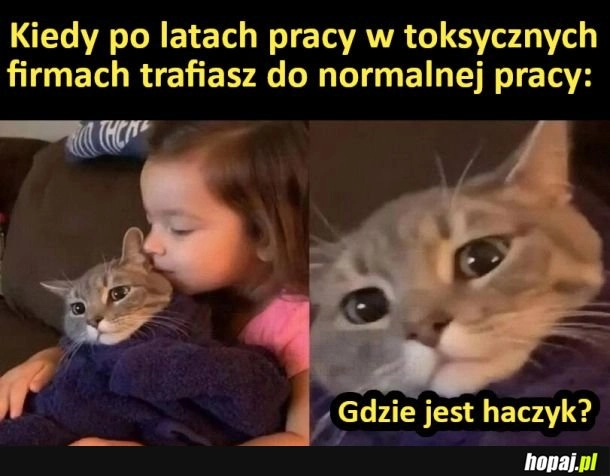 
    Gdzie jest haczyk?