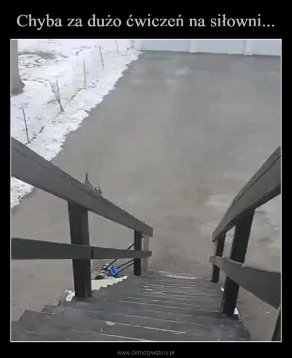 
    Chyba za dużo ćwiczeń na siłowni...