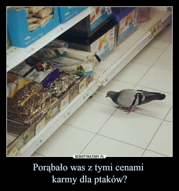 Porąbało was z tymi cenami karmy dla ptaków?