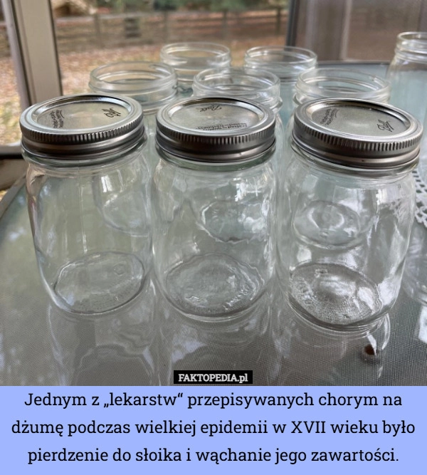 
    Jednym z „lekarstw“ przepisywanych chorym na dżumę podczas wielkiej epidemii
