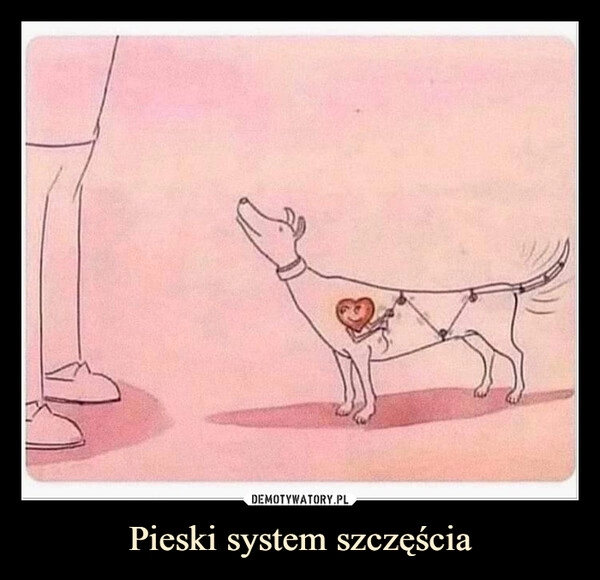 
    Pieski system szczęścia