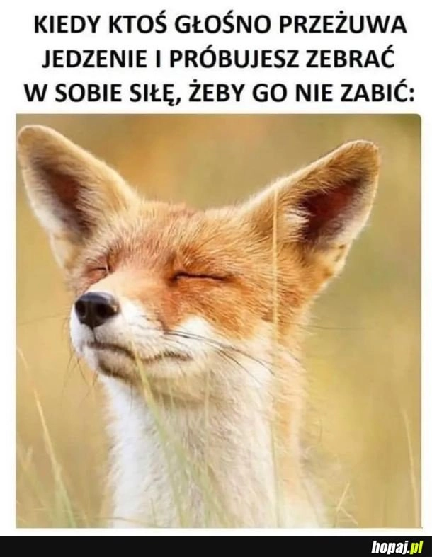 
    Granice wytrzymałości
