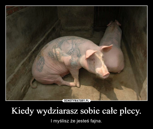 
    Kiedy wydziarasz sobie całe plecy.