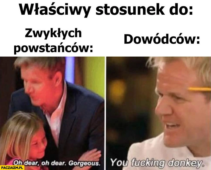 
    Właściwy stosunek do zwykłych powstańców vs do dowódców Gordon Ramsay