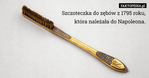 
    Szczoteczka do zębów z 1795 roku, która należała do Napoleona.