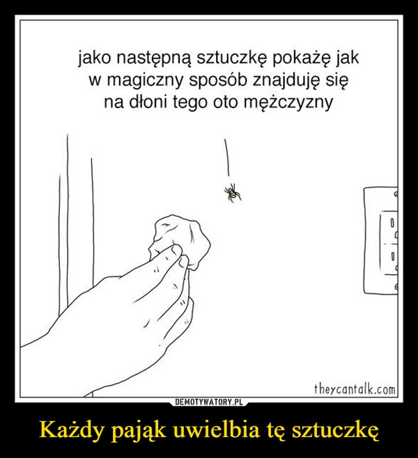 
    Każdy pająk uwielbia tę sztuczkę