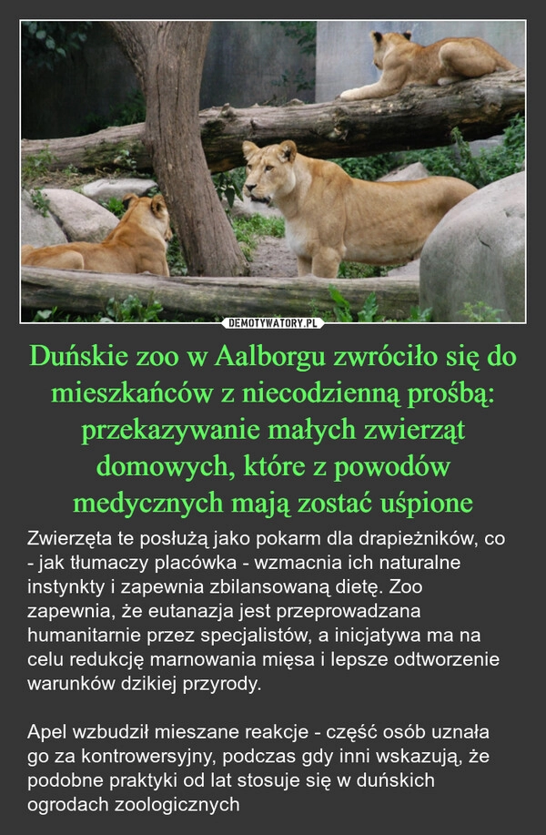 
    Duńskie zoo w Aalborgu zwróciło się do mieszkańców z niecodzienną prośbą: przekazywanie małych zwierząt domowych, które z powodów medycznych mają zostać uśpione