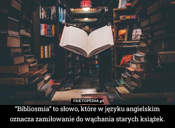 
    “Bibliosmia” to słowo, które w języku angielskim oznacza zamiłowanie do