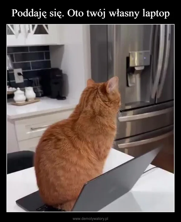 
    Poddaję się. Oto twój własny laptop