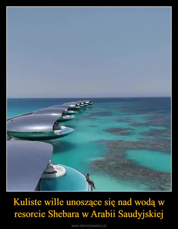 
    Kuliste wille unoszące się nad wodą w resorcie Shebara w Arabii Saudyjskiej