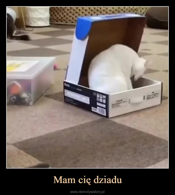 
    Mam cię dziadu