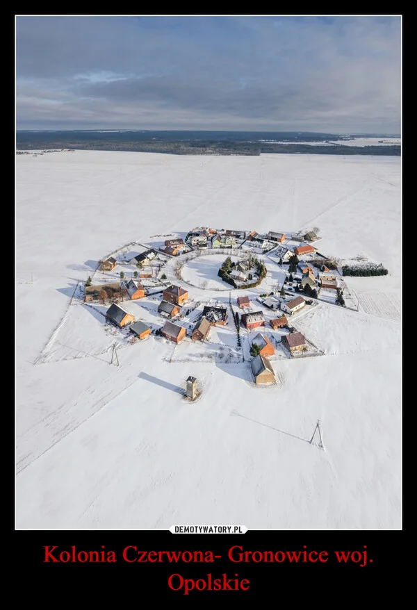 
    Kolonia Czerwona- Gronowice woj. Opolskie
