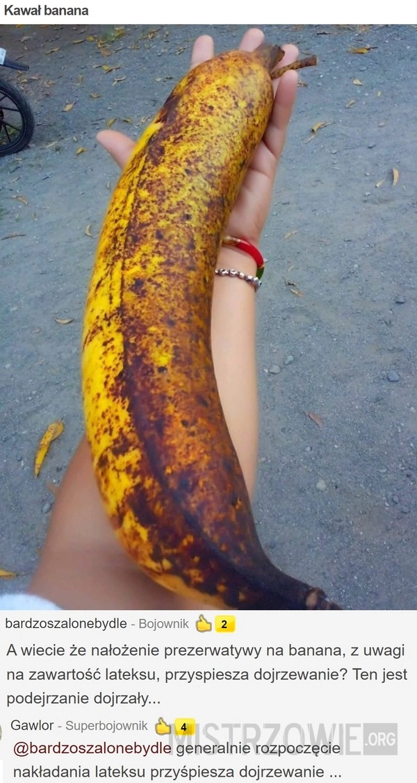 
    
			Kawał banana					