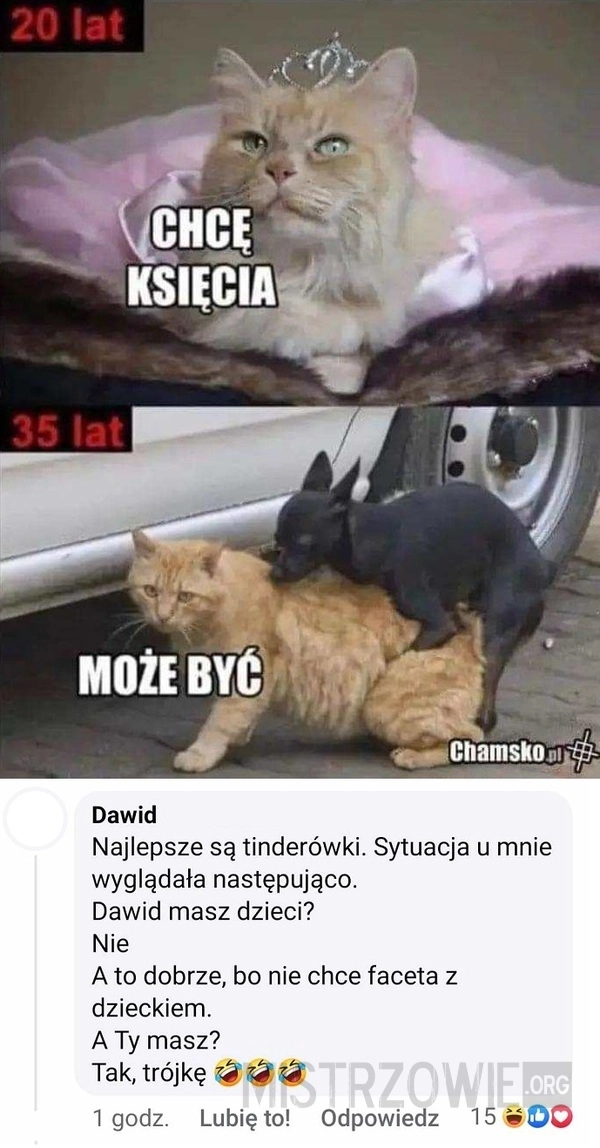 
    Książę z bajki