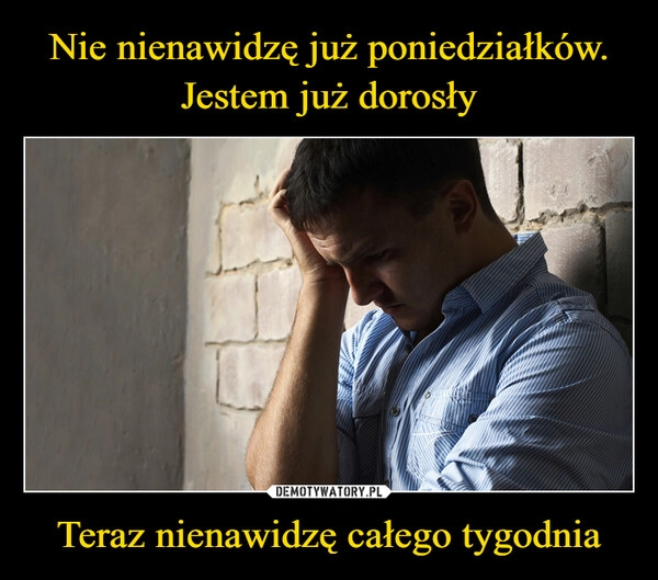 
    Nie nienawidzę już poniedziałków. Jestem już dorosły Teraz nienawidzę całego tygodnia