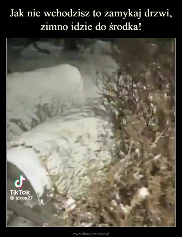 
    Jak nie wchodzisz to zamykaj drzwi, zimno idzie do środka!