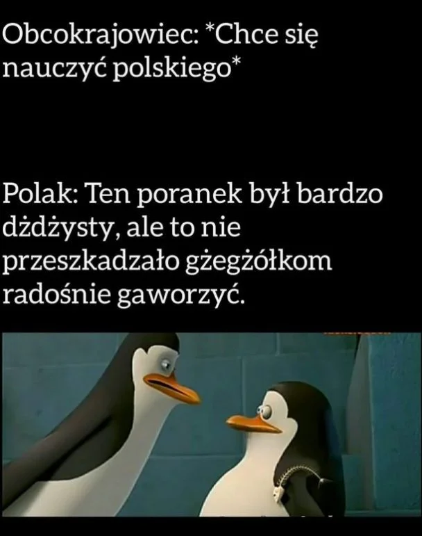 
    Masz i płacz