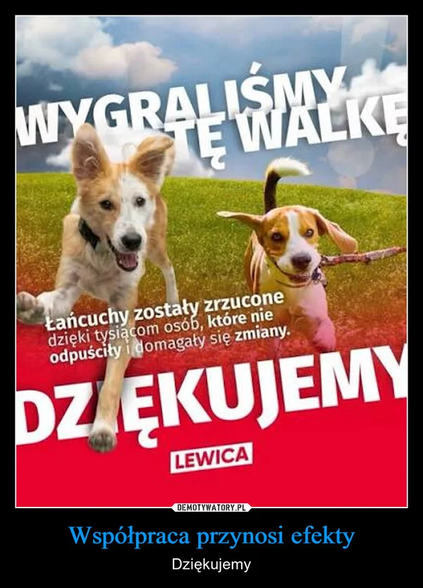 
    Współpraca przynosi efekty