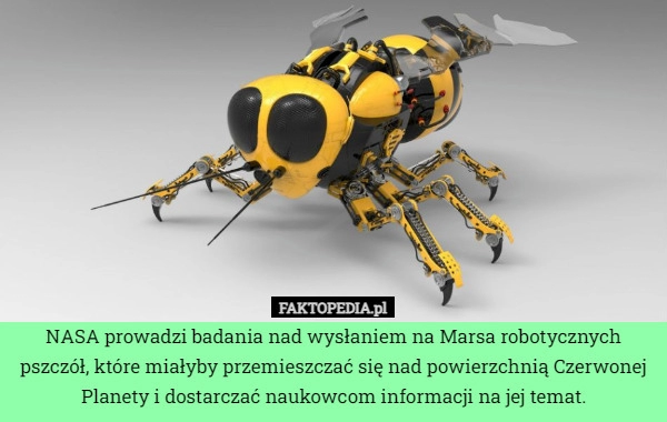 
    NASA prowadzi badania nad wysłaniem na Marsa robotycznych pszczół, które