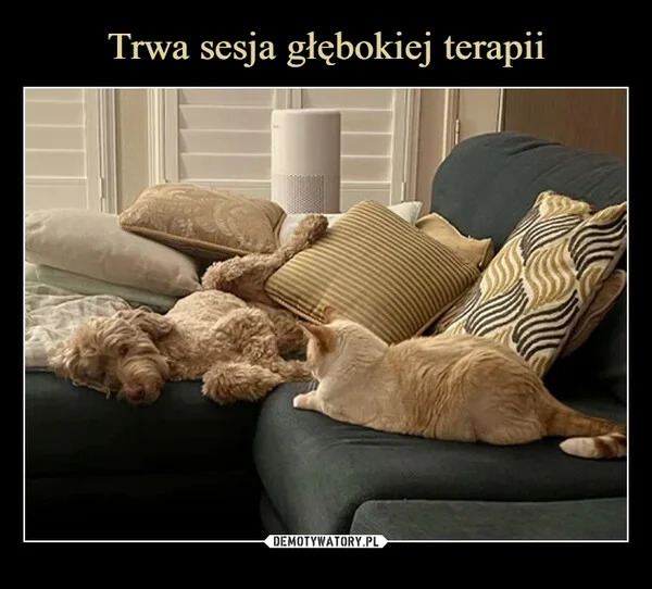 
    Trwa sesja głębokiej terapii