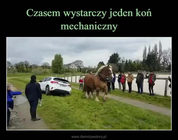 
    Czasem wystarczy jeden koń mechaniczny