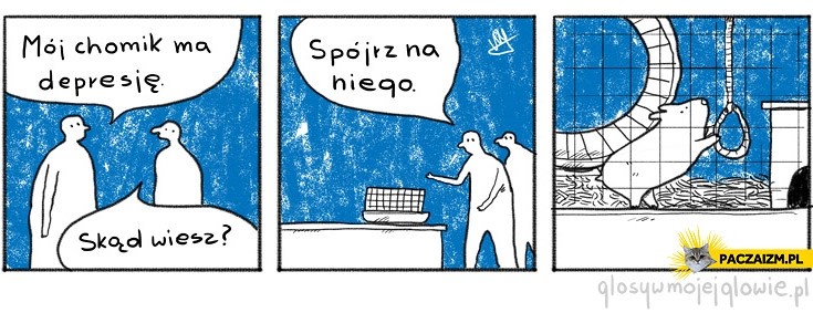 
    Depresja chomika