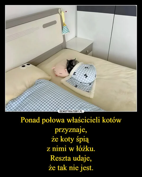
    Ponad połowa właścicieli kotów przyznaje, że koty śpią z nimi w łóżku. Reszta udaje, że tak nie jest.