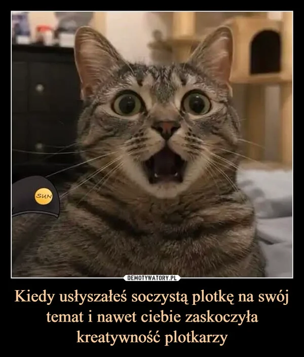
    Kiedy usłyszałeś soczystą plotkę na swój temat i nawet ciebie zaskoczyła kreatywność plotkarzy