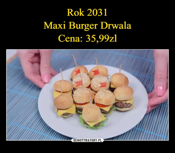 
    Rok 2031
Maxi Burger Drwala
Cena: 35,99zl