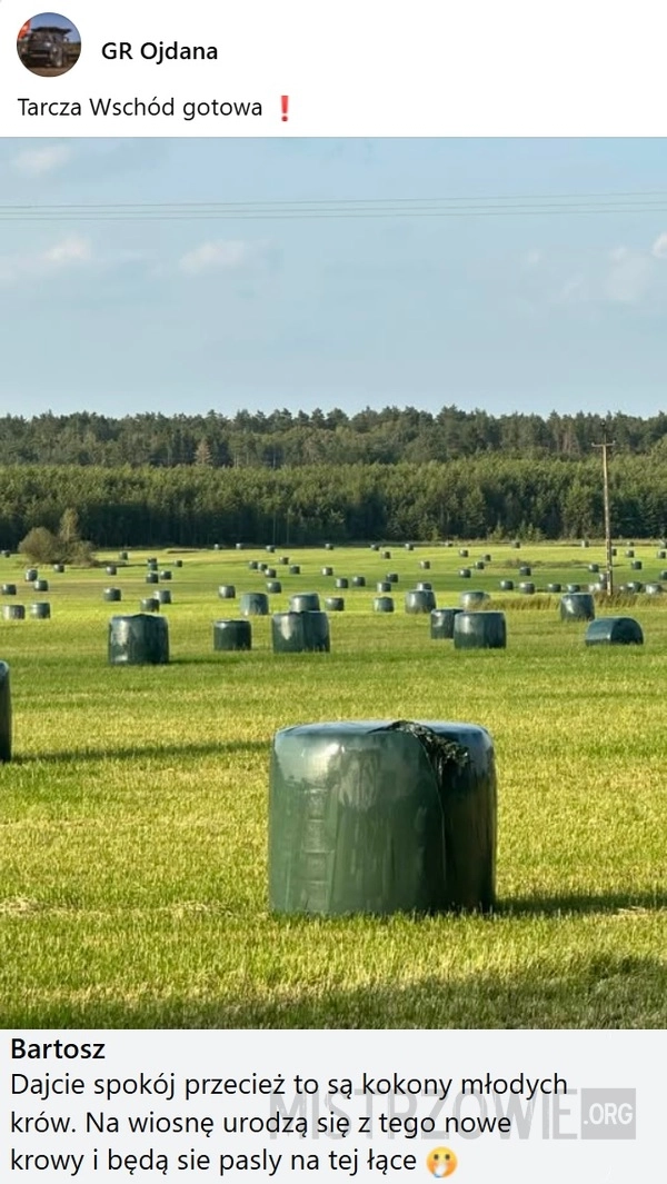 
    Tarcza Wschód