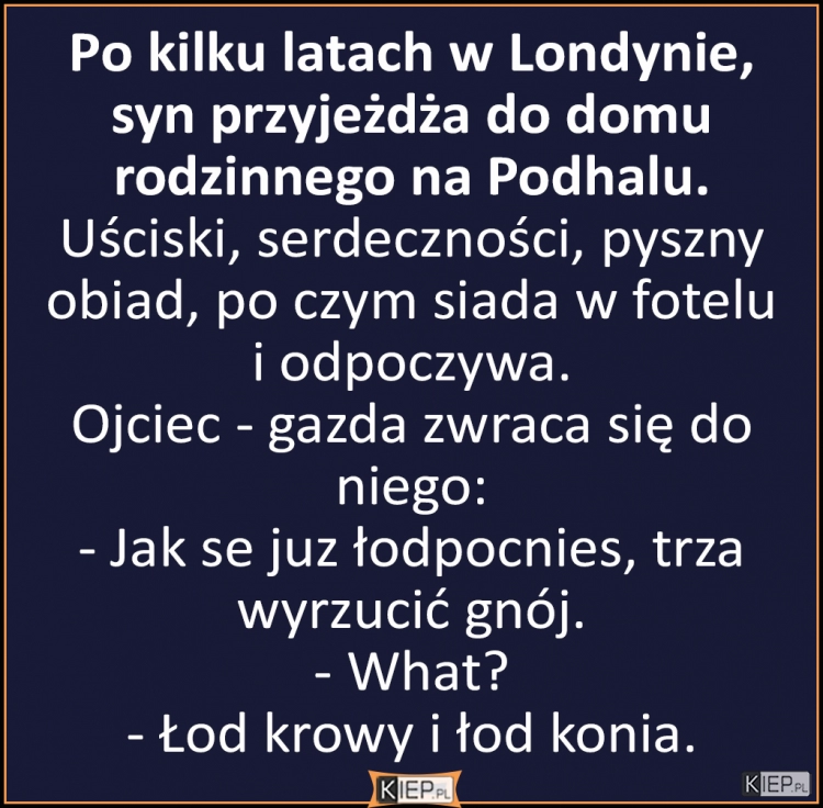 
    Po kilku latach spędzonych na emigracji w Londynie, syn przyjeżdża do domu rodzinnego na Podhalu...