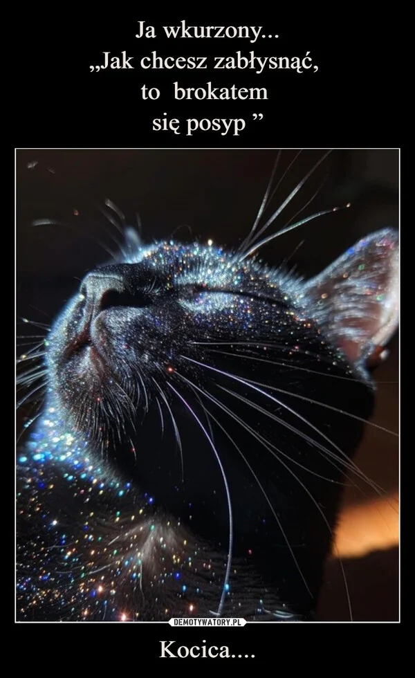 
    Ja wkurzony... „Jak chcesz zabłysnąć, to brokatem się posyp ” Kocica....