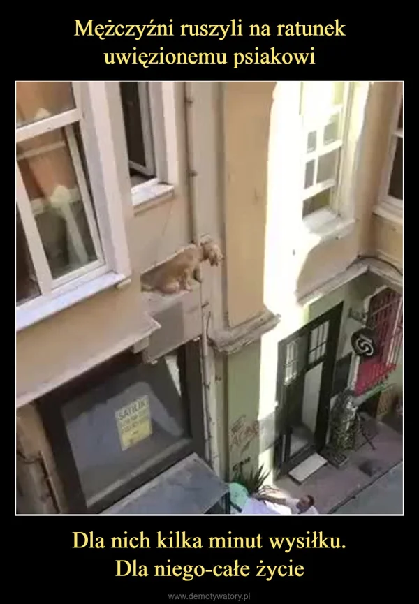 
    Mężczyźni ruszyli na ratunek uwięzionemu psiakowi Dla nich kilka minut wysiłku. Dla niego-całe życie