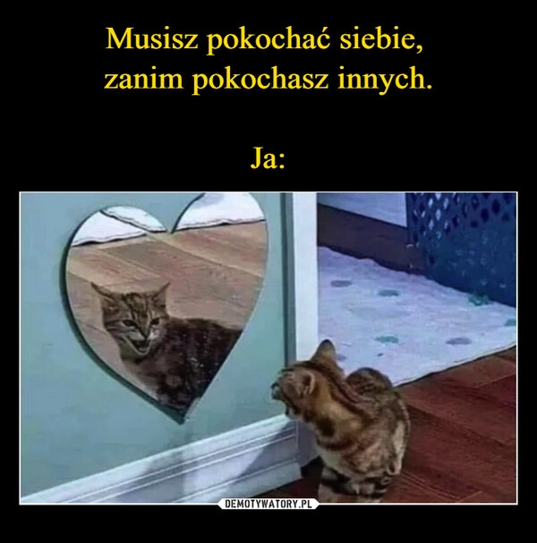 
    Musisz pokochać siebie, 
zanim pokochasz innych.

Ja: