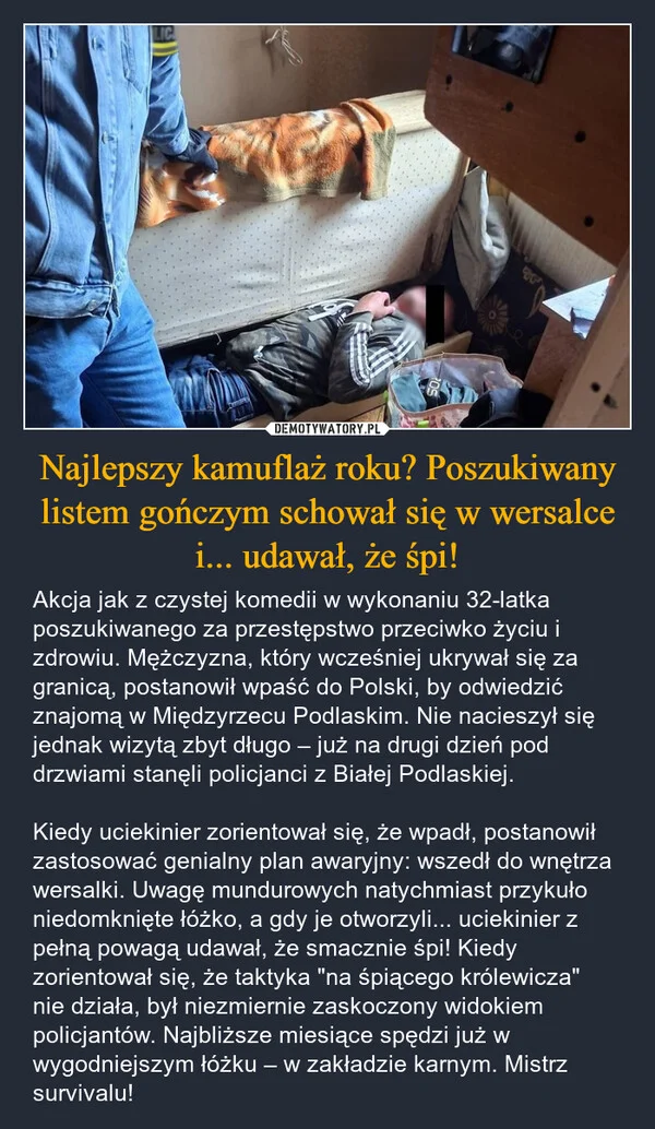 Najlepszy kamuflaż roku? Poszukiwany listem gończym schował się w wersalce i... udawał, że śpi!