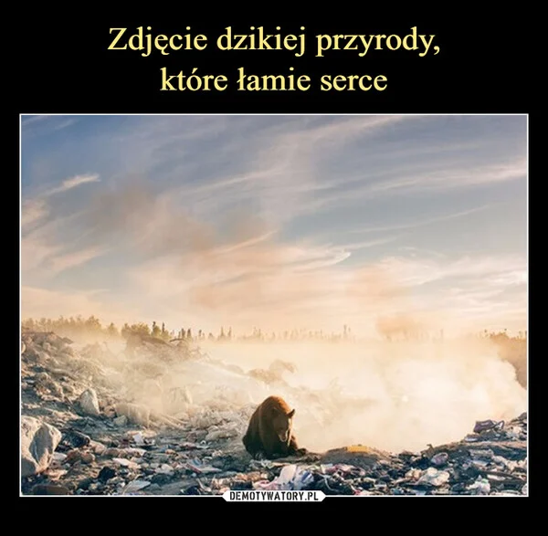 
    Zdjęcie dzikiej przyrody, które łamie serce