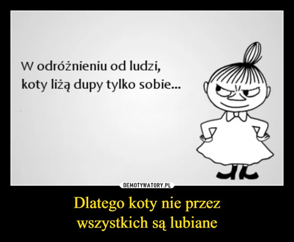 
    Dlatego koty nie przez wszystkich są lubiane