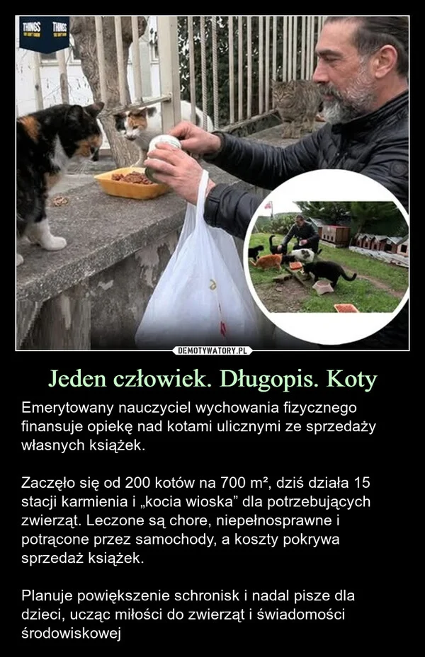
    Jeden człowiek. Długopis. Koty