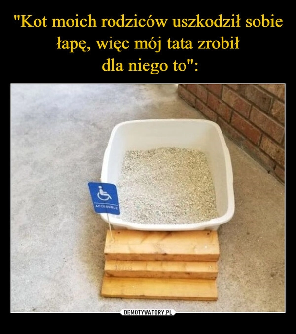 
    "Kot moich rodziców uszkodził sobie łapę, więc mój tata zrobił
 dla niego to":