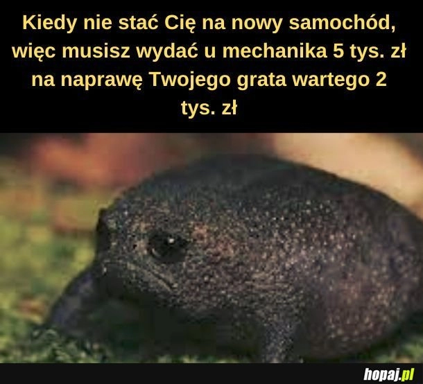 
    Smutnawo. 