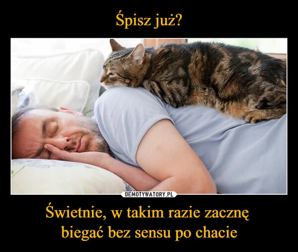 
    Śpisz już? Świetnie, w takim razie zacznę biegać bez sensu po chacie