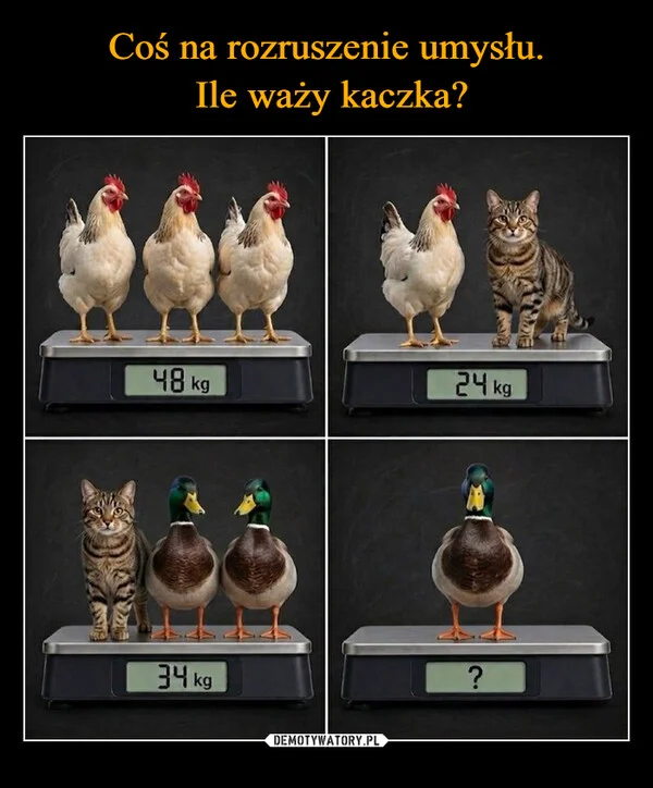 
    Coś na rozruszenie umysłu. Ile waży kaczka?