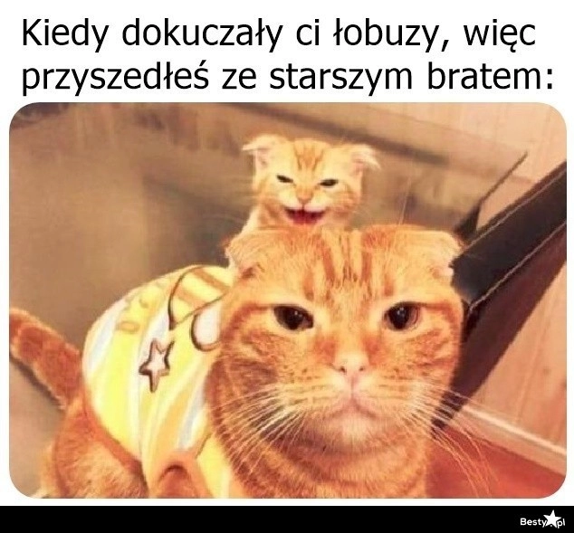 
    Nadeszło wsparcie 